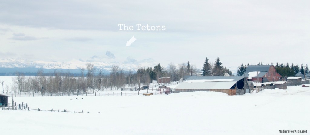 Tetons