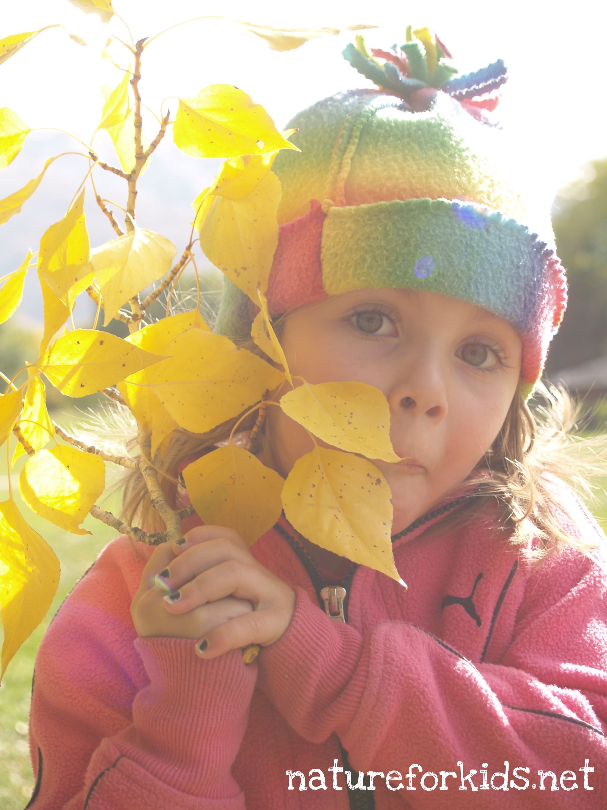 Leaf Lantern Tutorial And A Nudge Out The Door