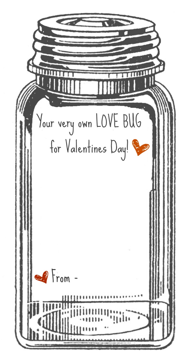 Love Bug Valentines