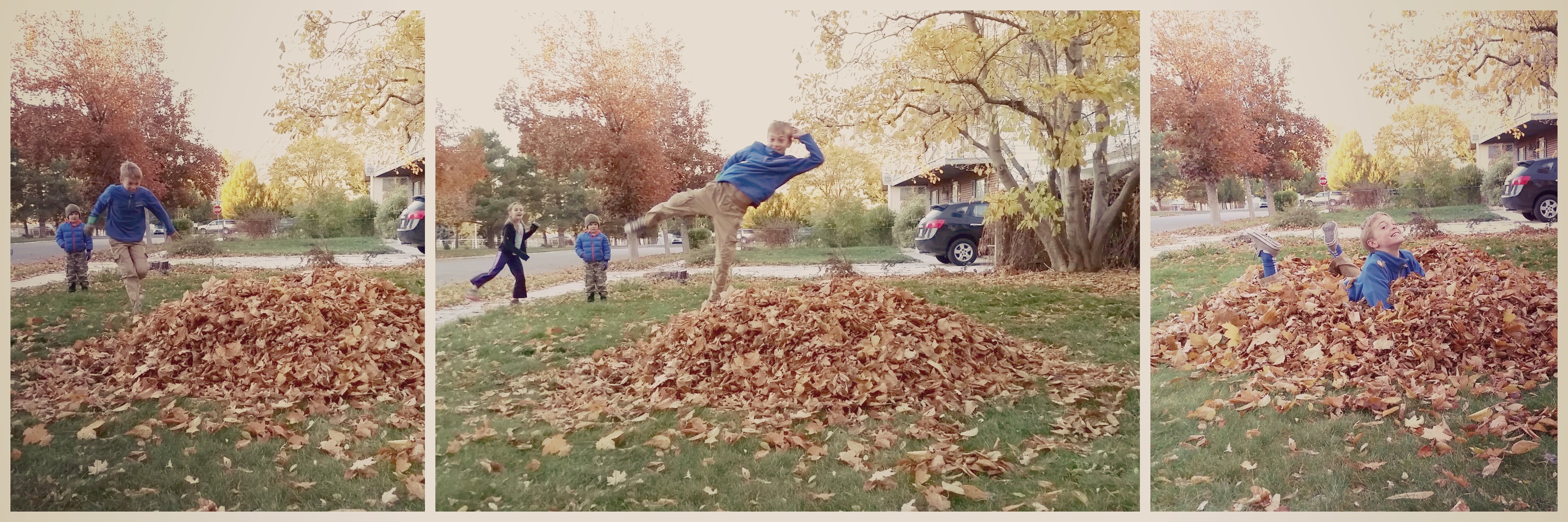 Fall Leaf Fun – Jumping & Sorting