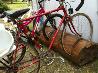 bike rack tree stump